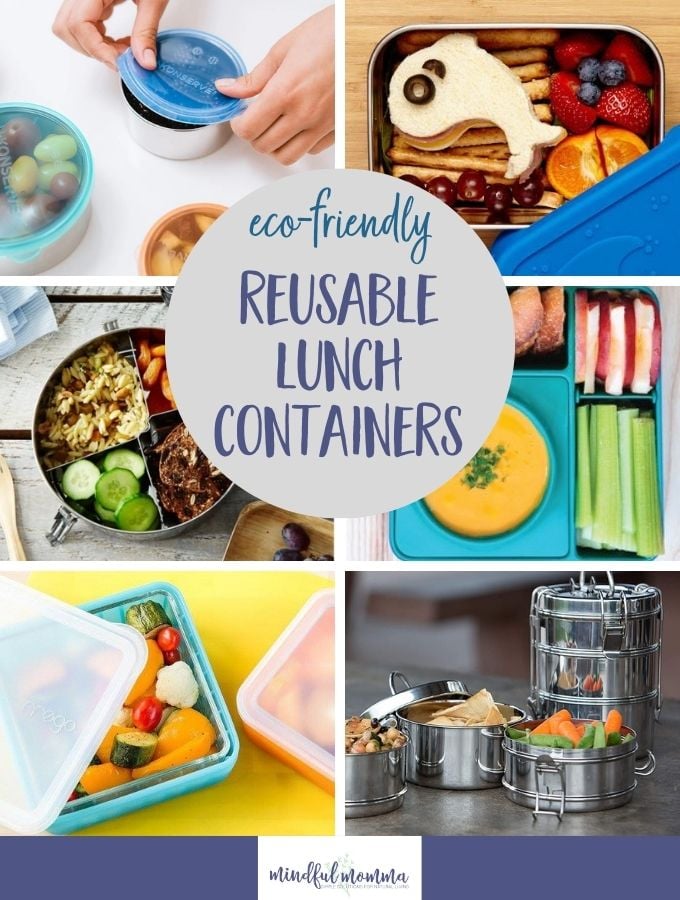 eco friendly lunch containers
