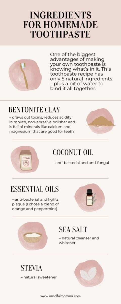 Homemade Toothpaste Infographic