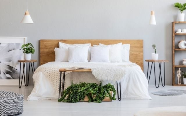 bedroom with bed and plants