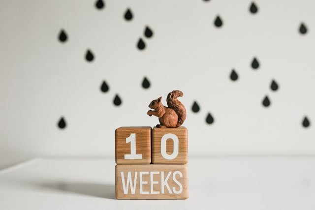 Wooden milestone baby blocks