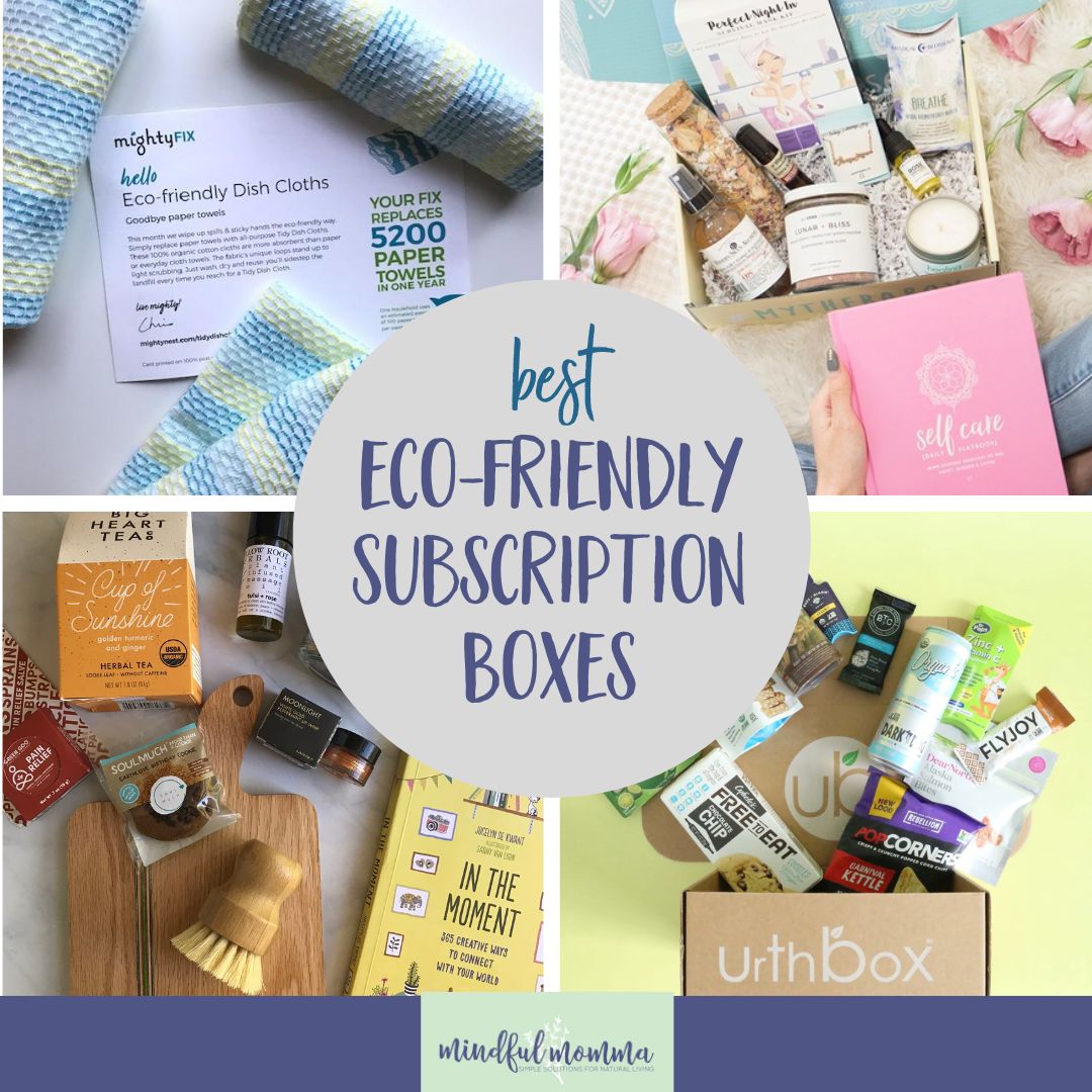 18 Biggest Sustainable Subscription Containers for Eco-Nice Objects