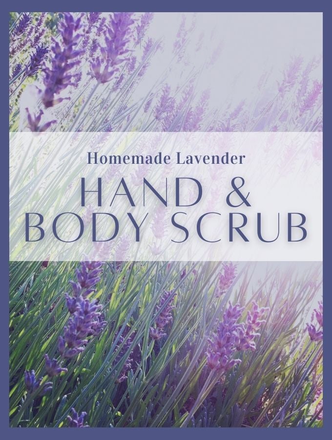 Do-it-yourself Lavender Hand & Physique Scrub